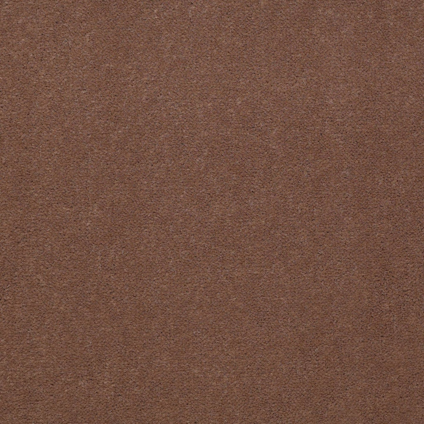 CUT PILE SOLID