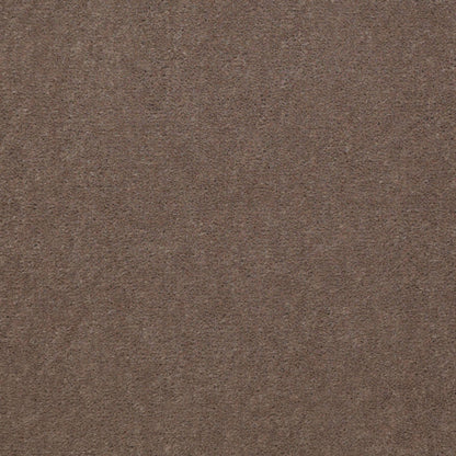 CUT PILE SOLID