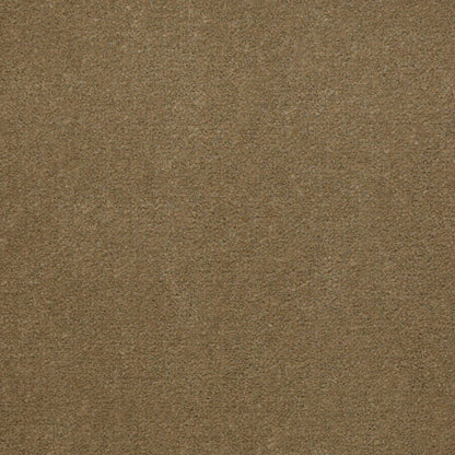 CUT PILE SOLID