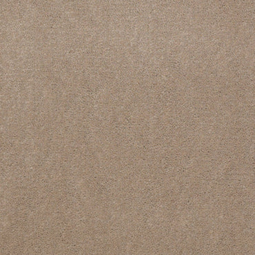 CUT PILE SOLID