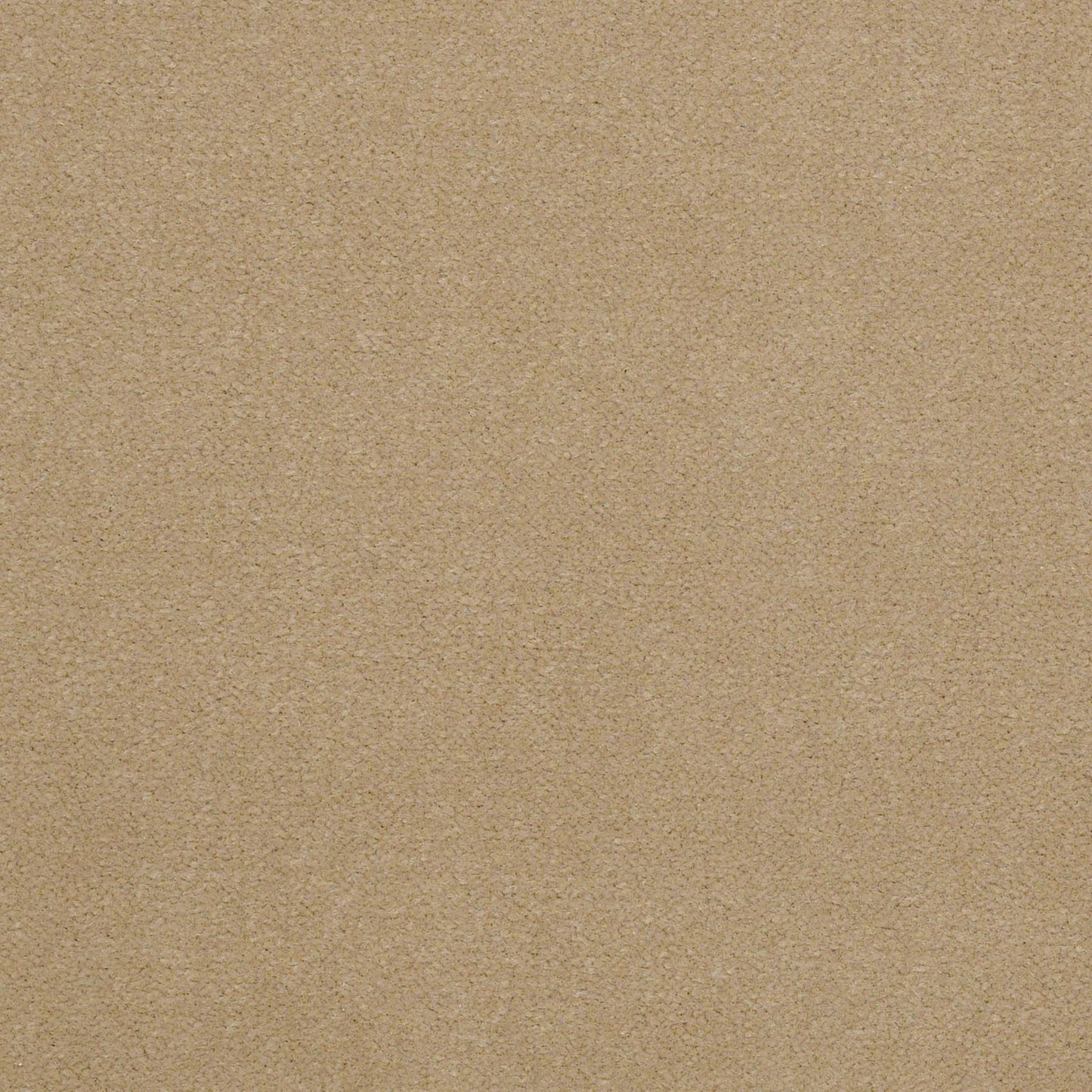 CUT PILE SOLID