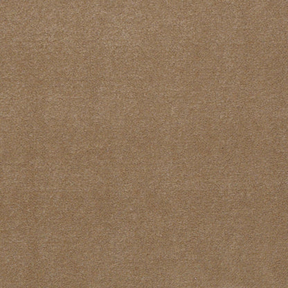 CUT PILE SOLID
