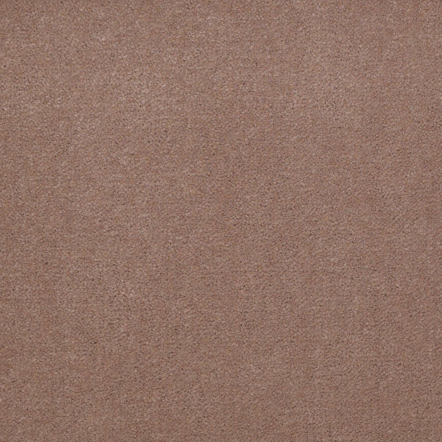 CUT PILE SOLID