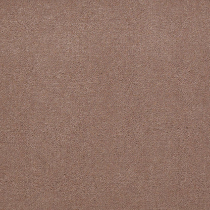 CUT PILE SOLID