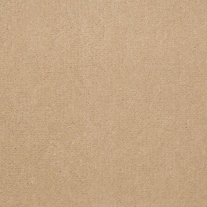 CUT PILE SOLID