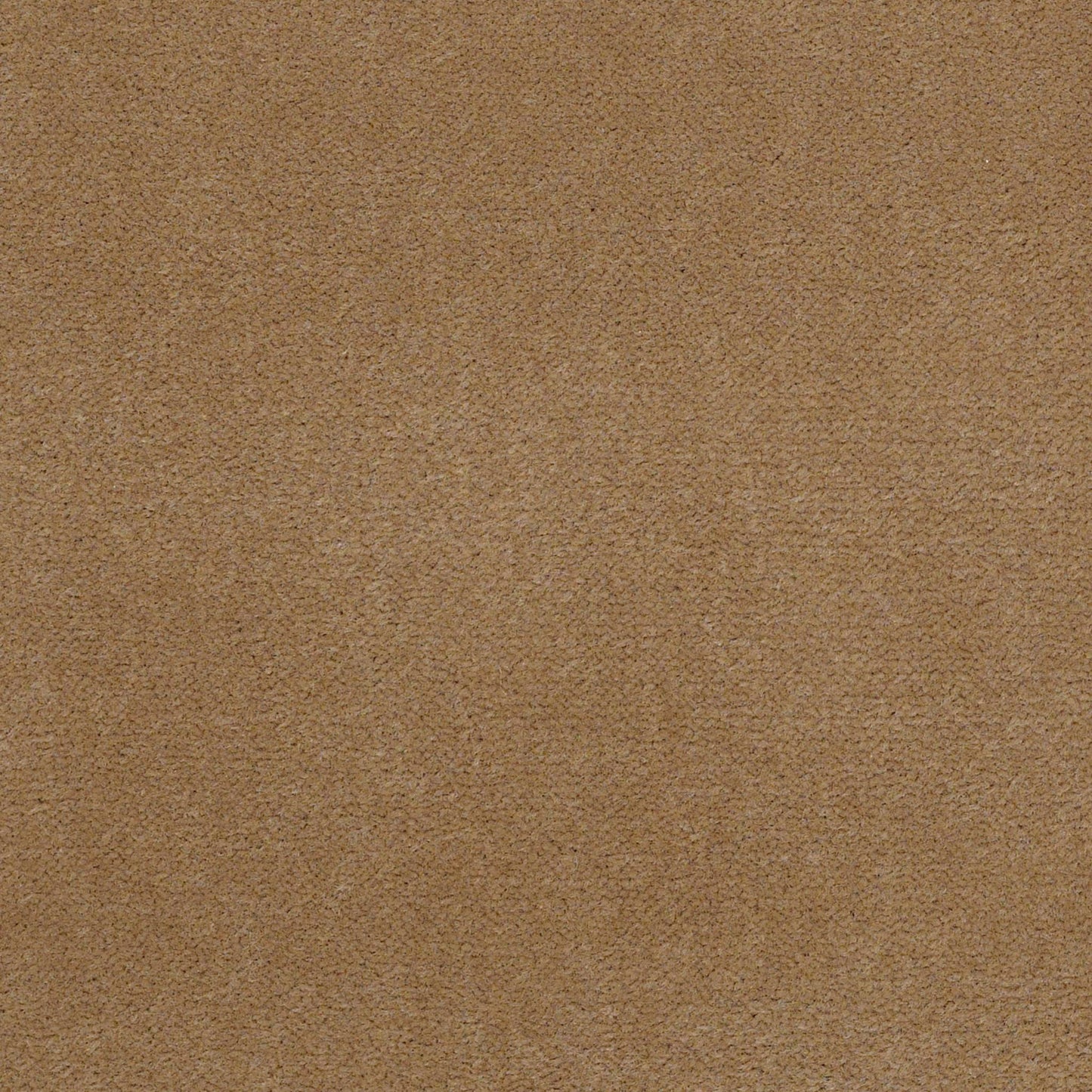 CUT PILE SOLID