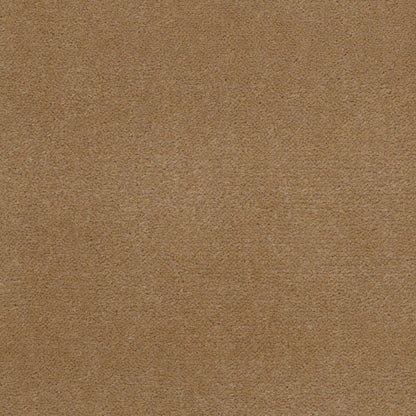 CUT PILE SOLID