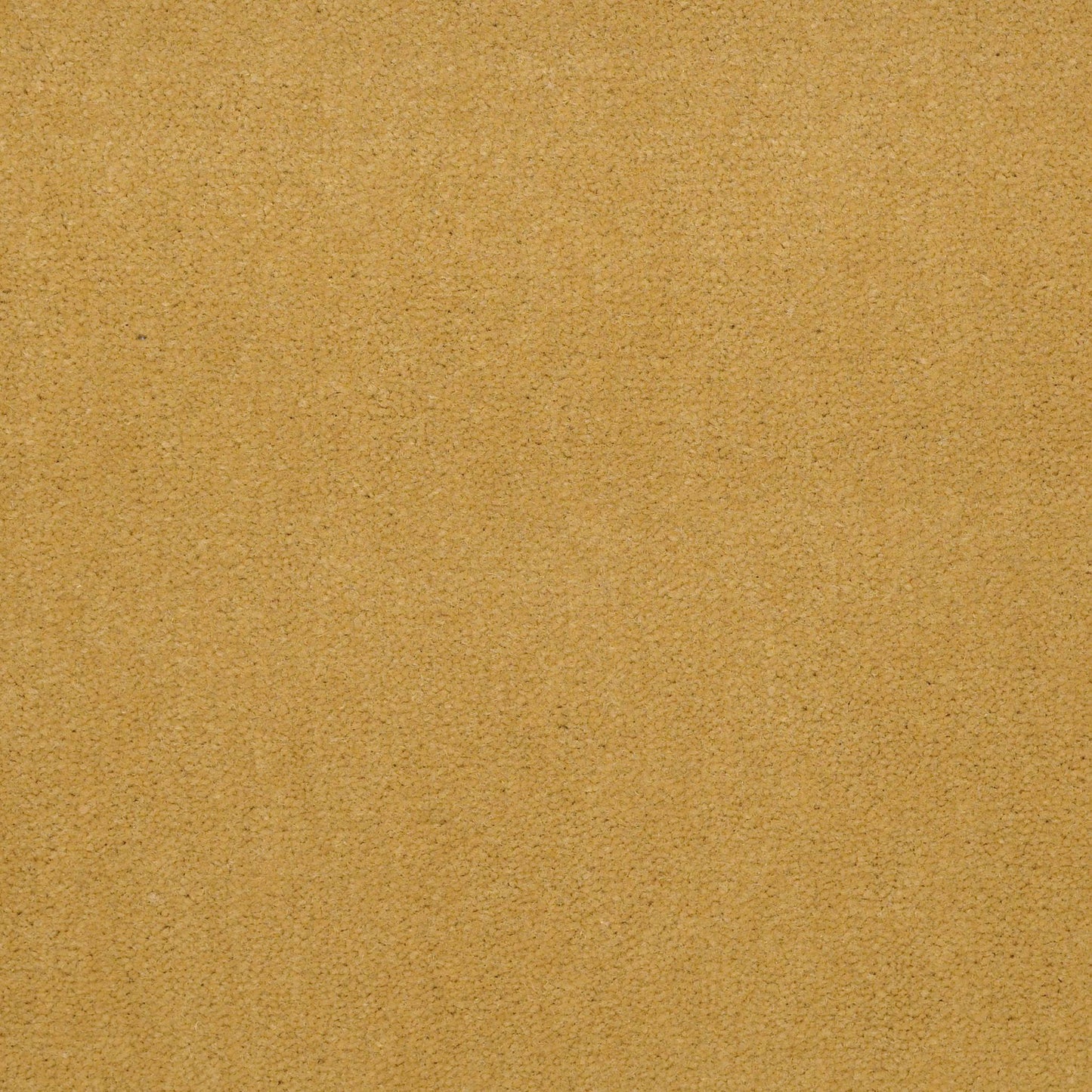 CUT PILE SOLID
