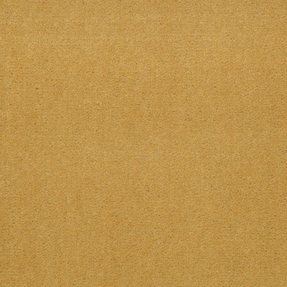 CUT PILE SOLID