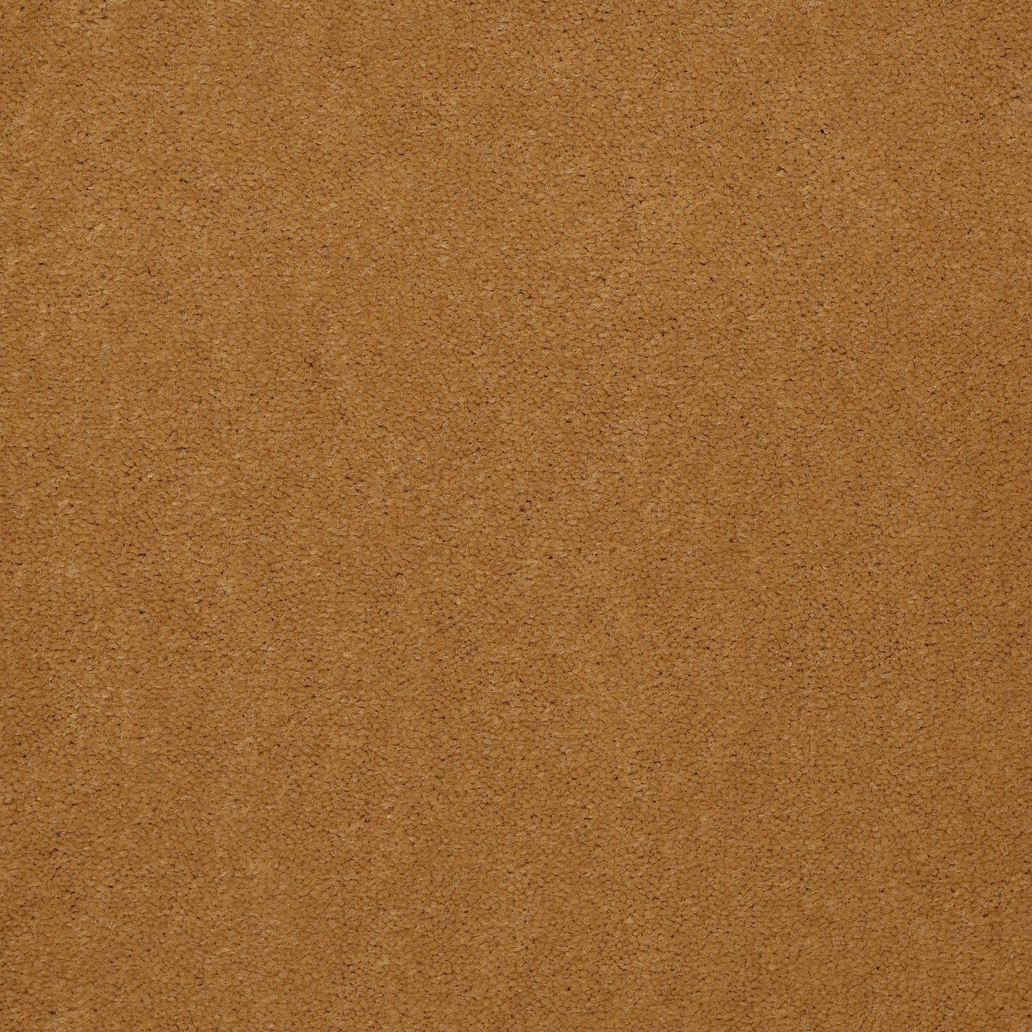 CUT PILE SOLID