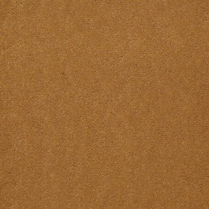 CUT PILE SOLID
