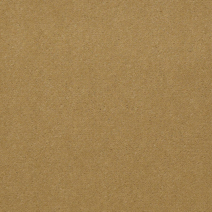 CUT PILE SOLID