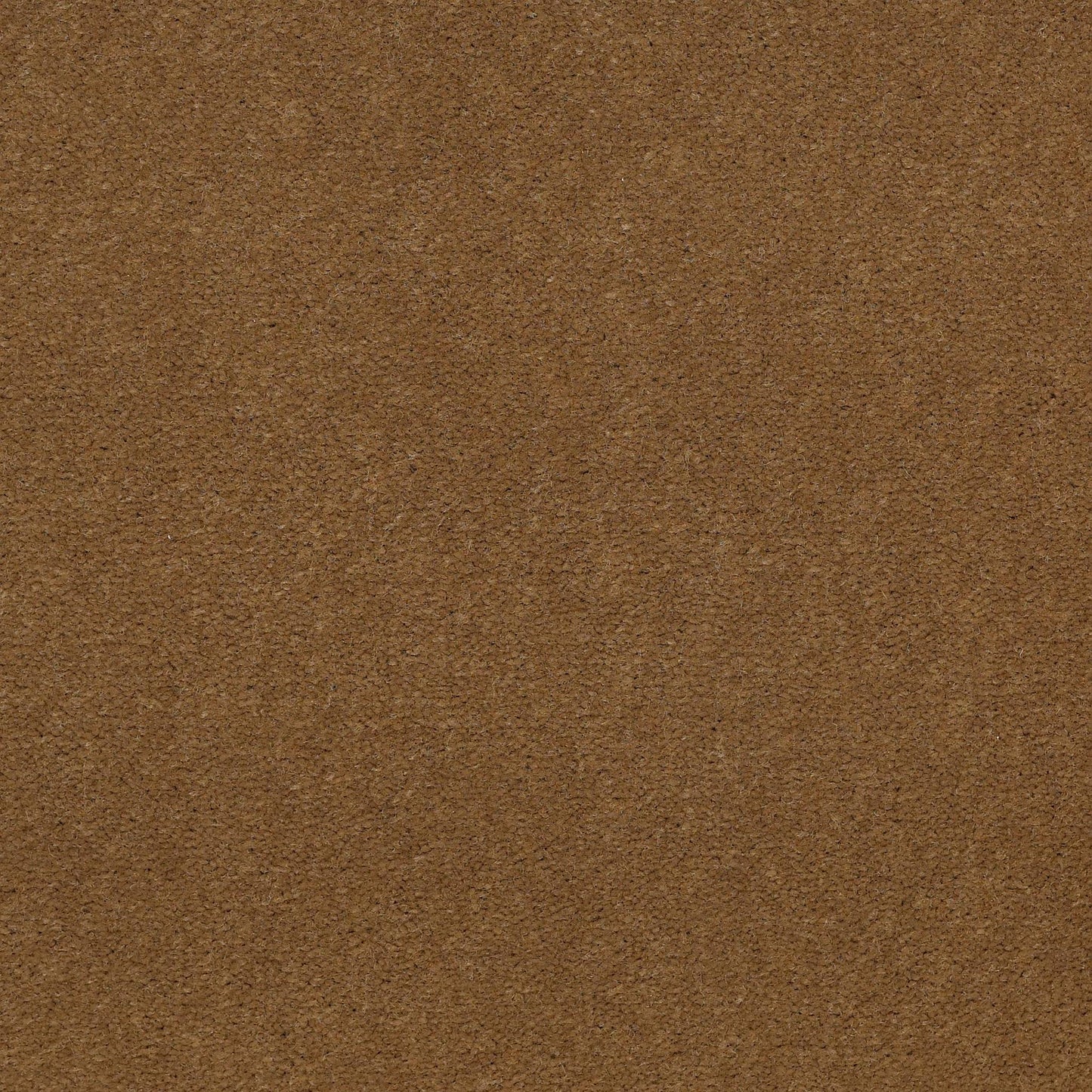 CUT PILE SOLID