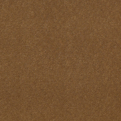 CUT PILE SOLID