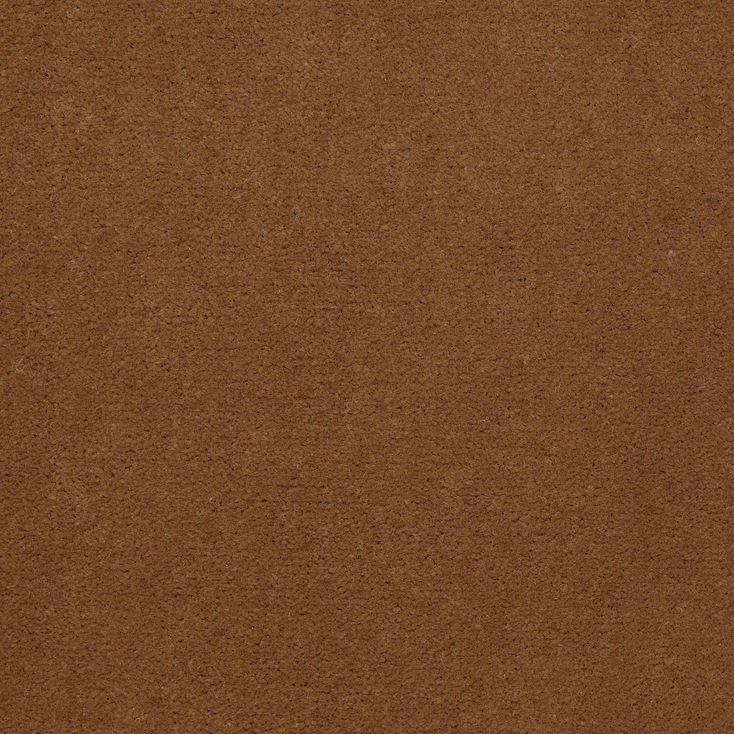 CUT PILE SOLID