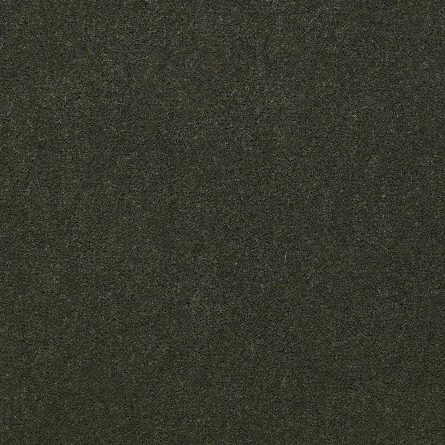 CUT PILE SOLID