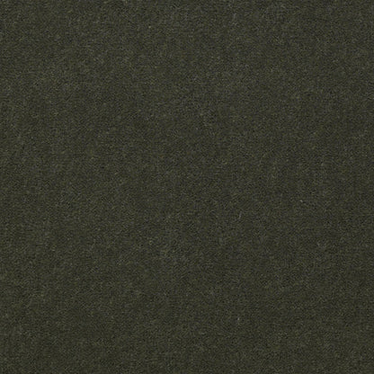 CUT PILE SOLID