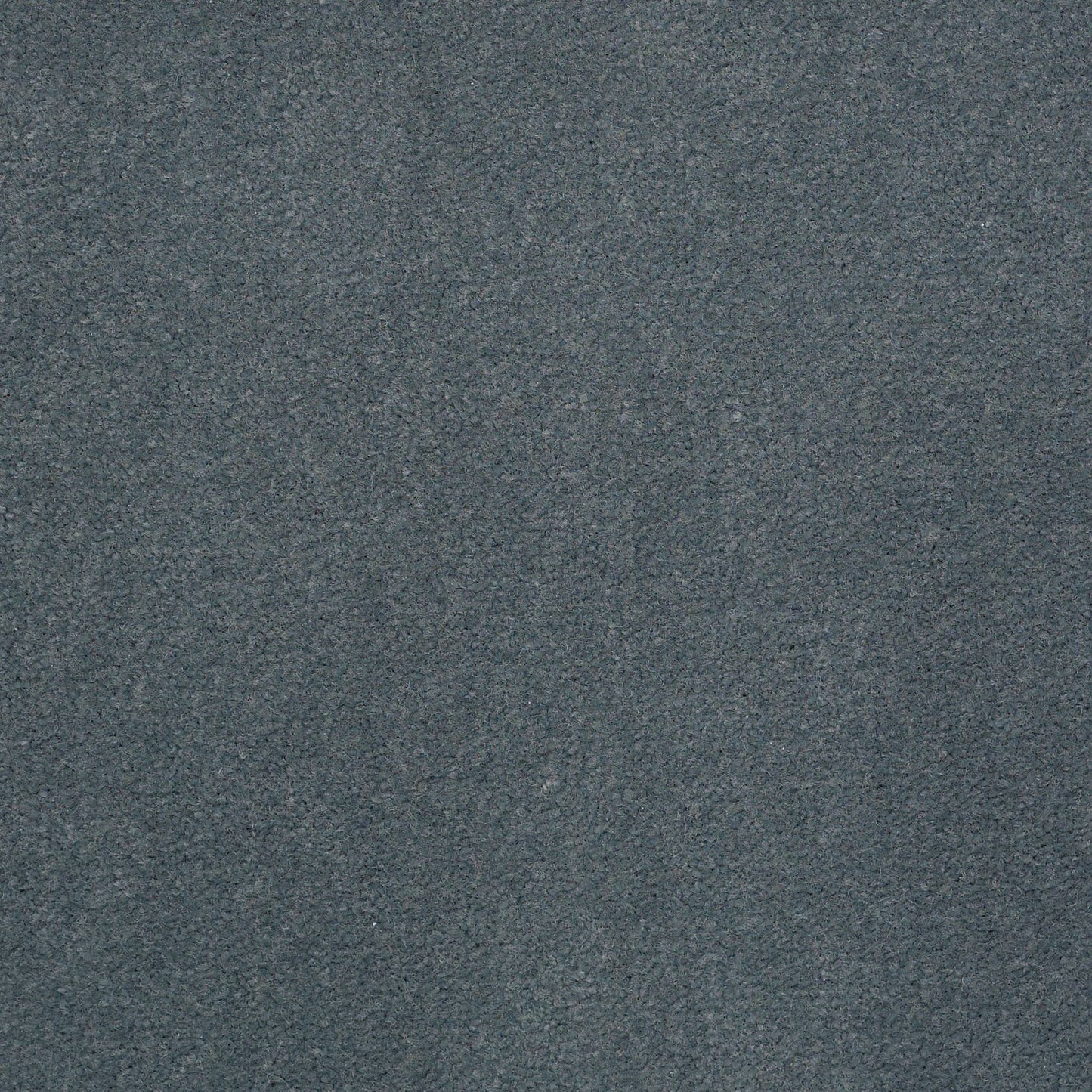 CUT PILE SOLID