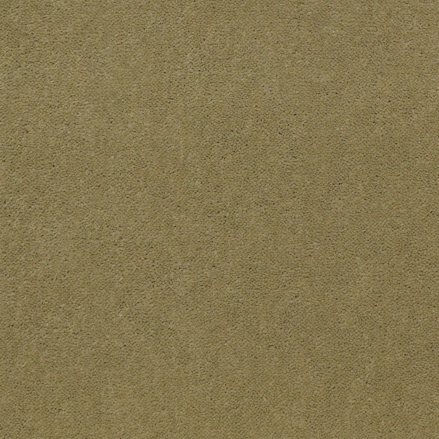 CUT PILE SOLID