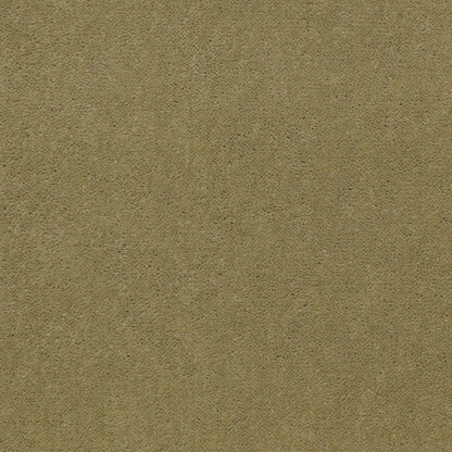 CUT PILE SOLID