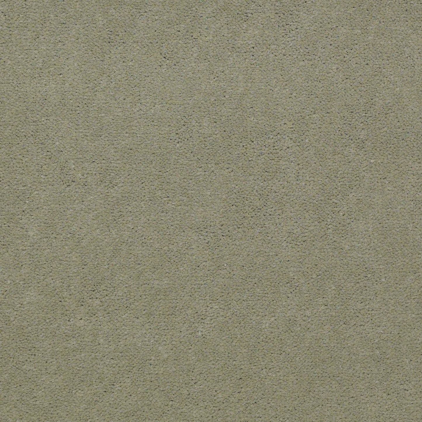 CUT PILE SOLID