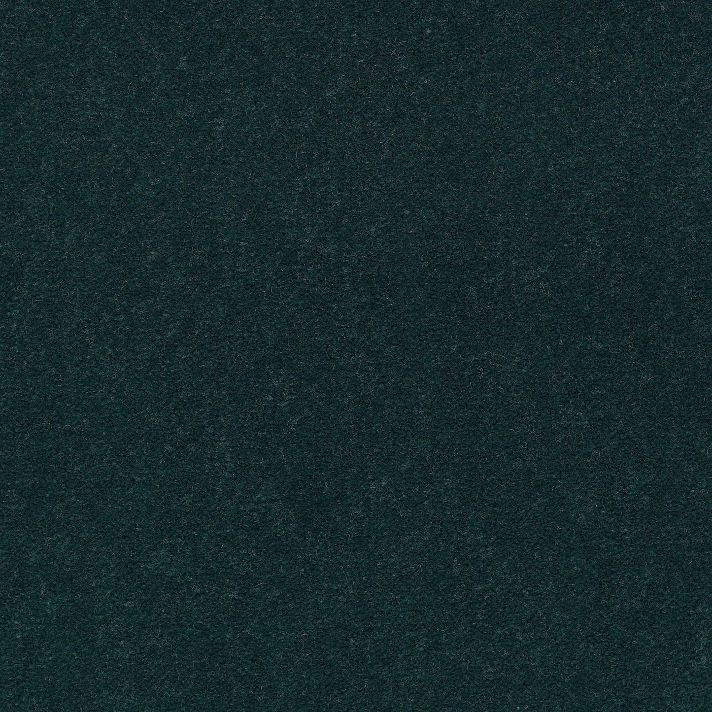 CUT PILE SOLID