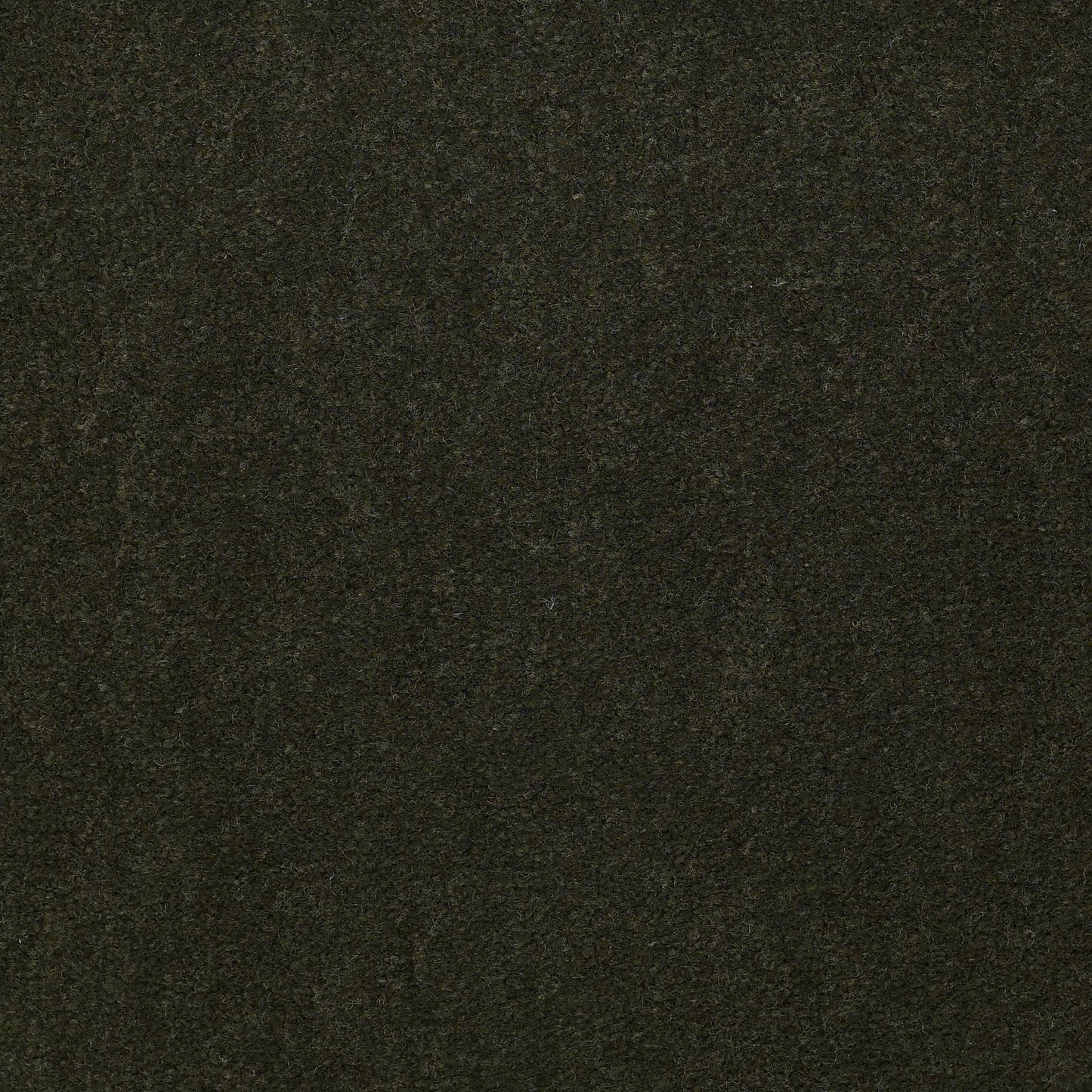 CUT PILE SOLID