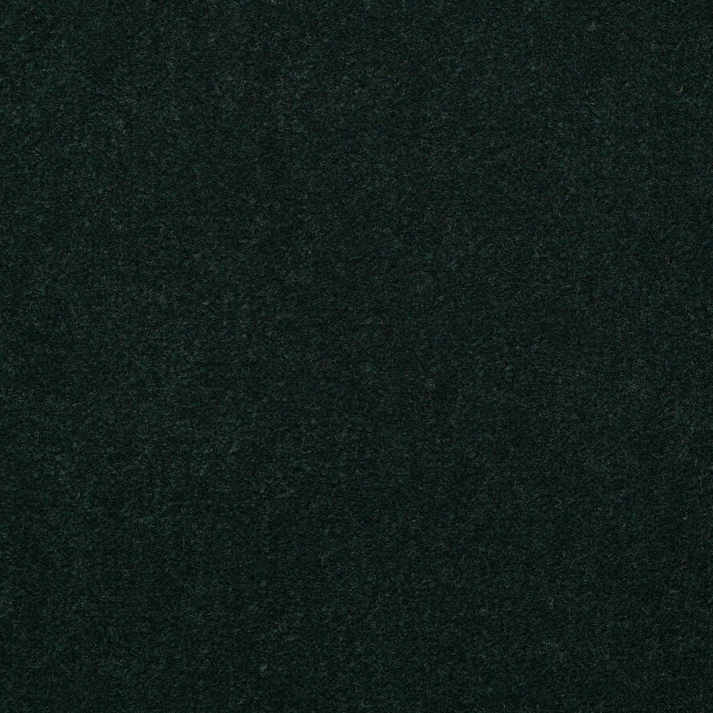 CUT PILE SOLID