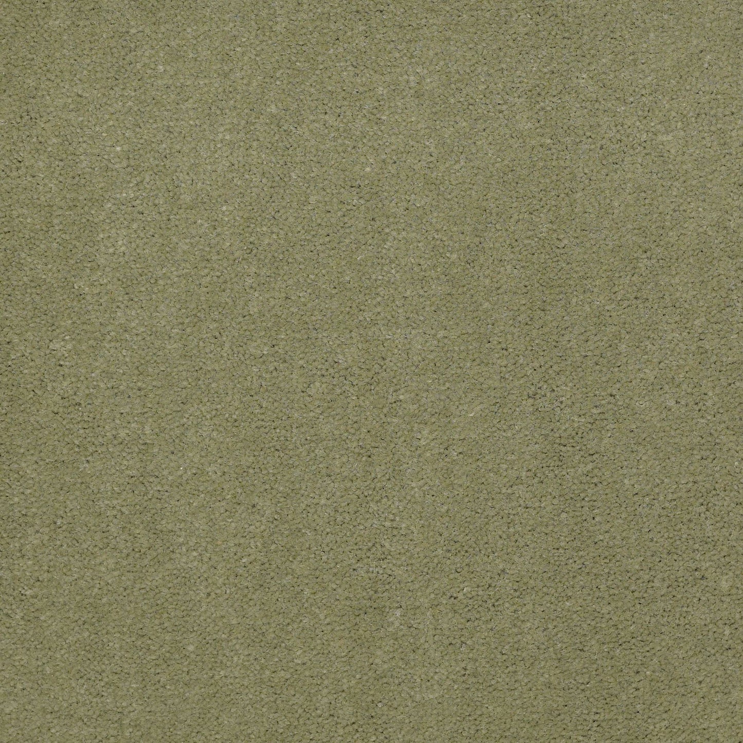 CUT PILE SOLID