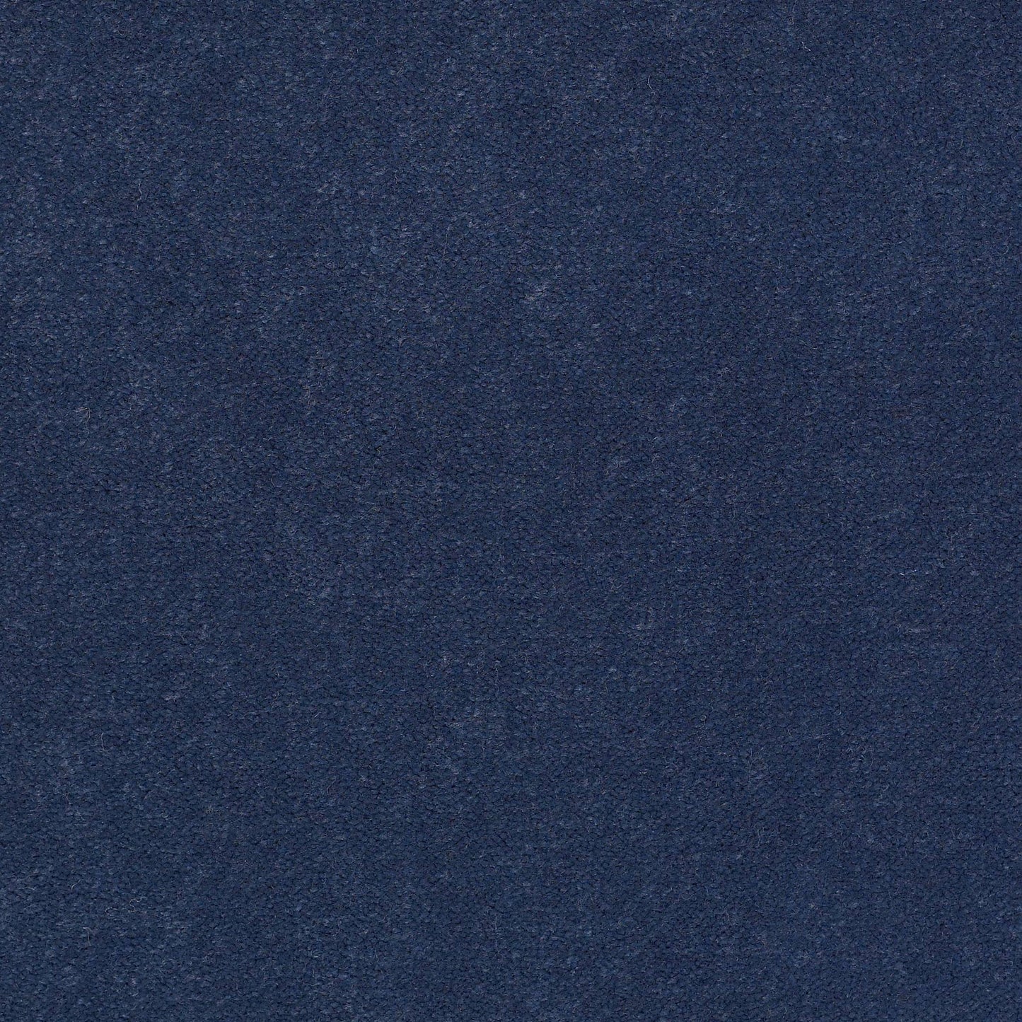 CUT PILE SOLID