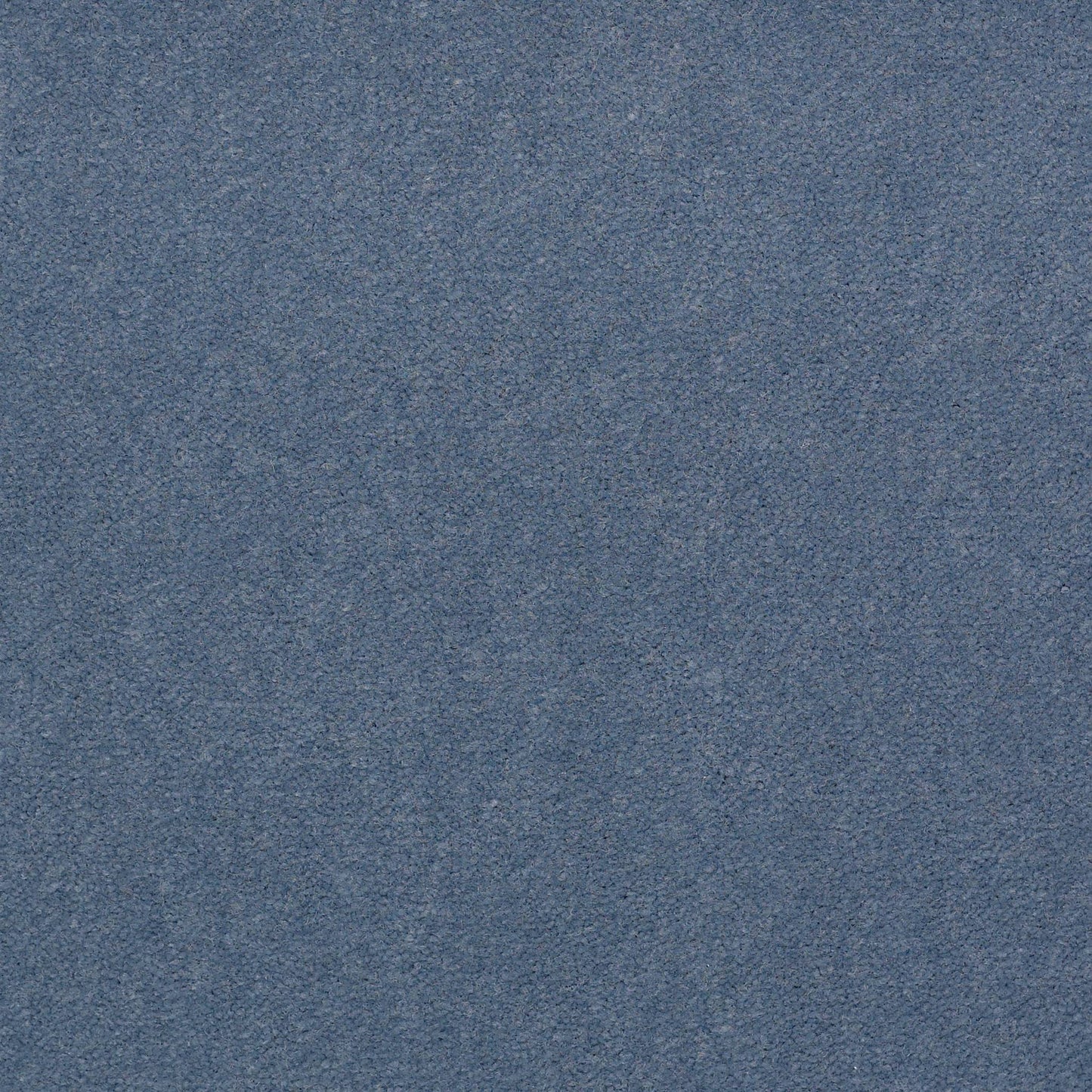 CUT PILE SOLID