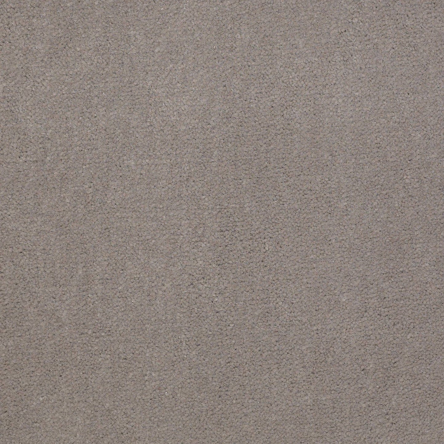 CUT PILE SOLID
