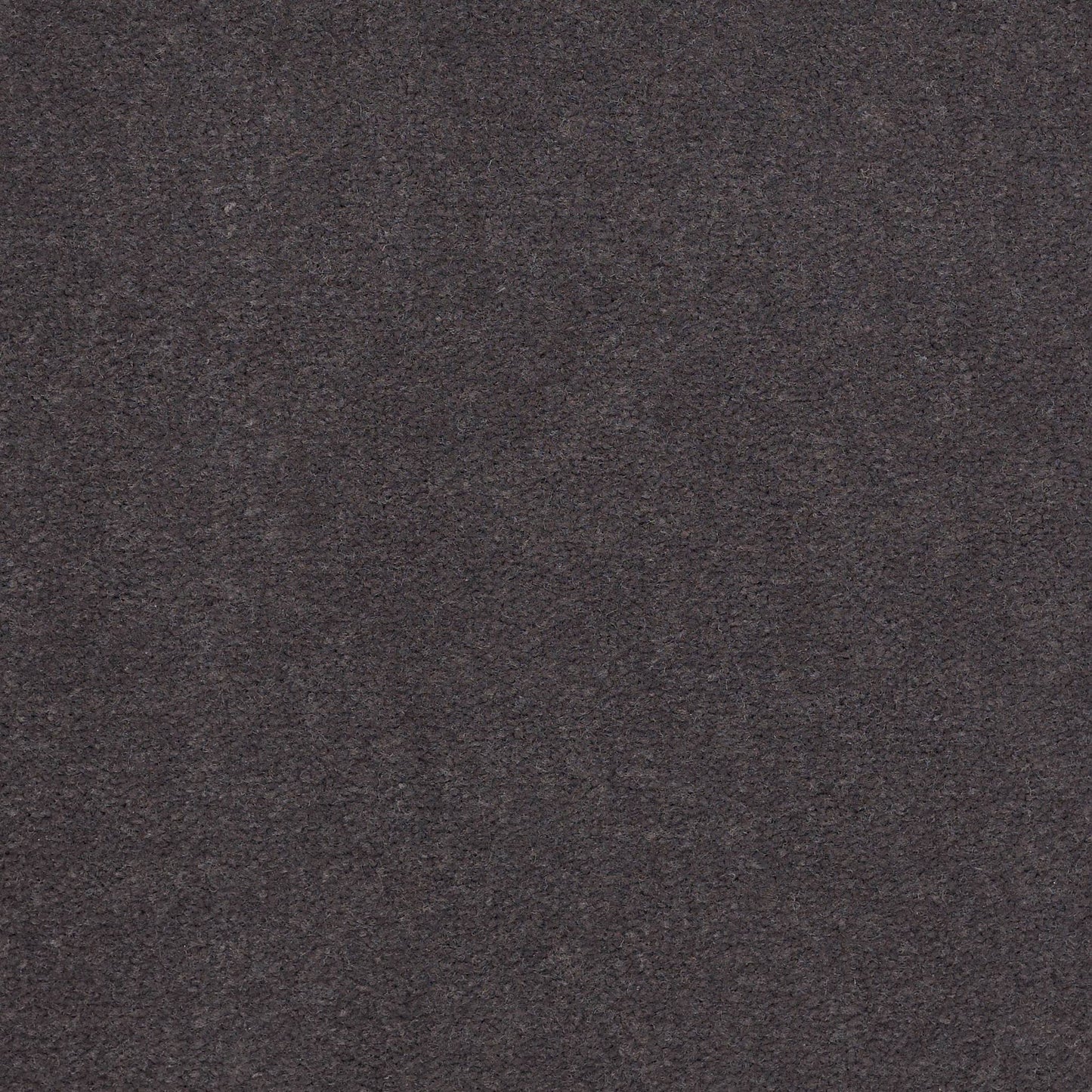 CUT PILE SOLID