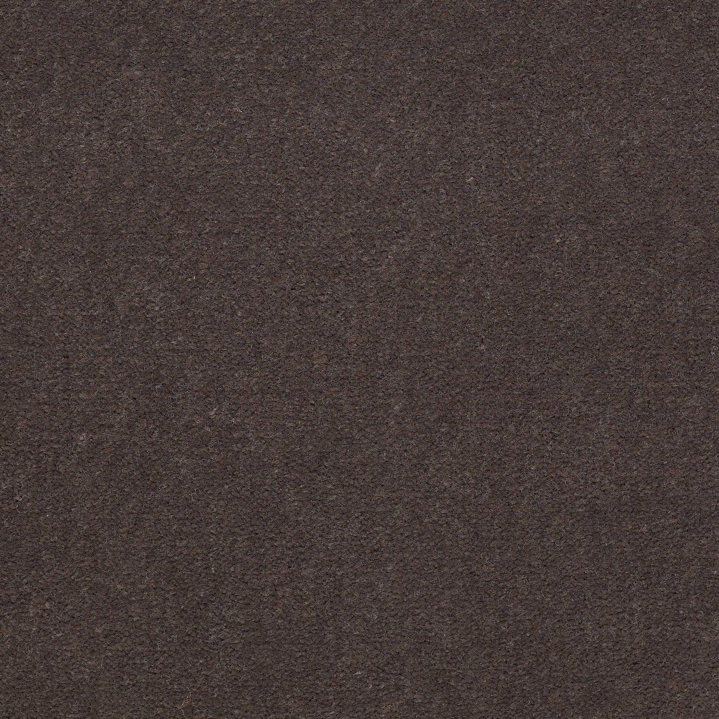 CUT PILE SOLID