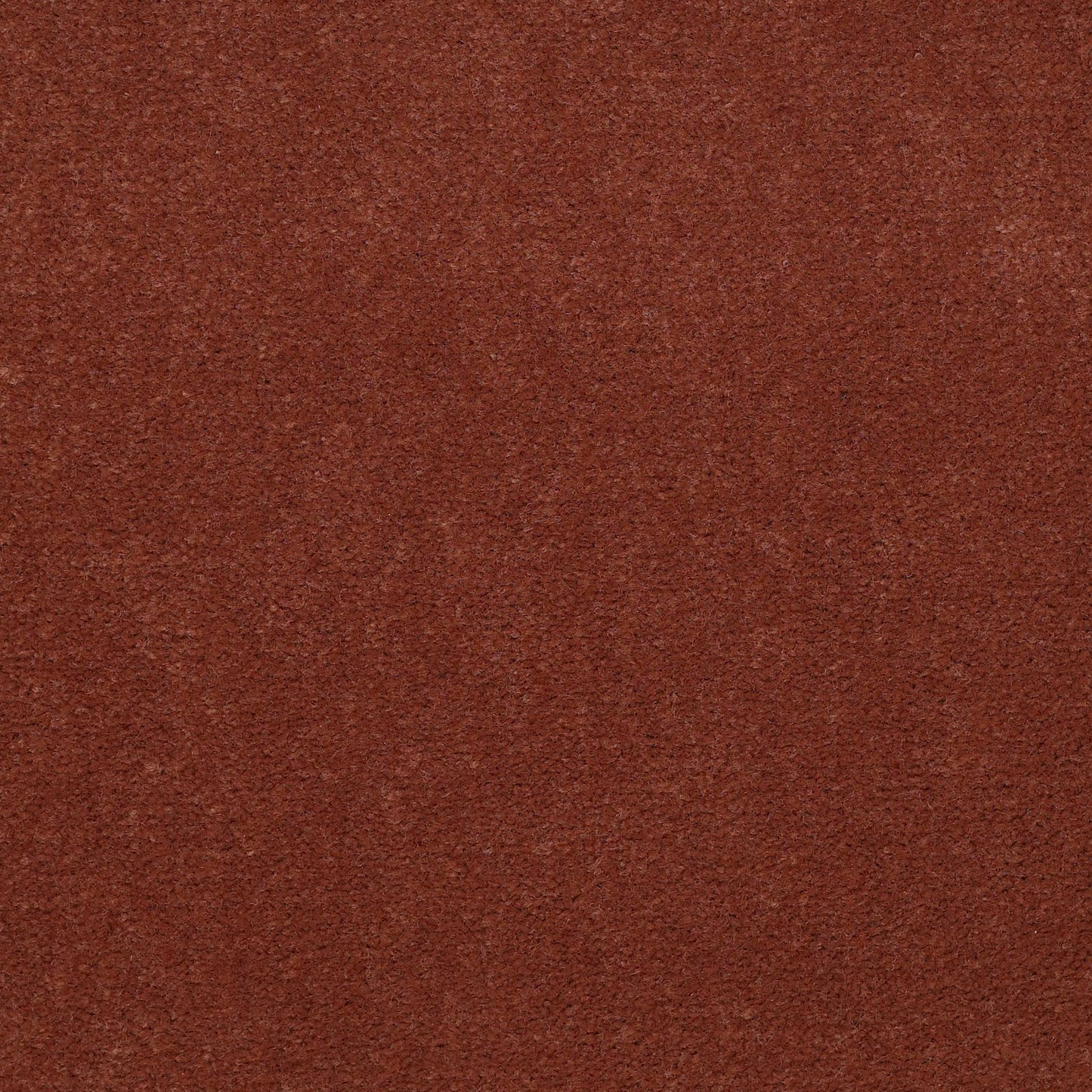 CUT PILE SOLID