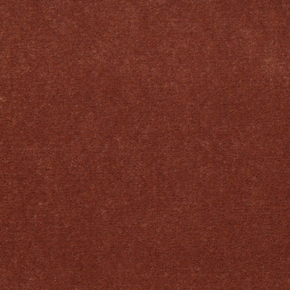 CUT PILE SOLID