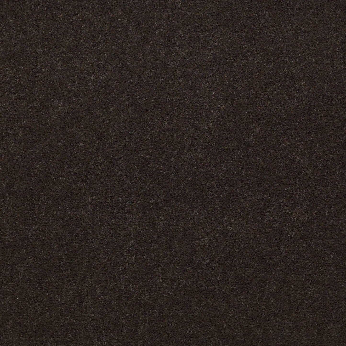 CUT PILE SOLID