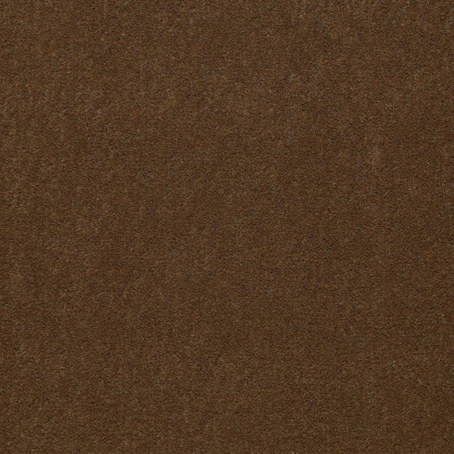 CUT PILE SOLID