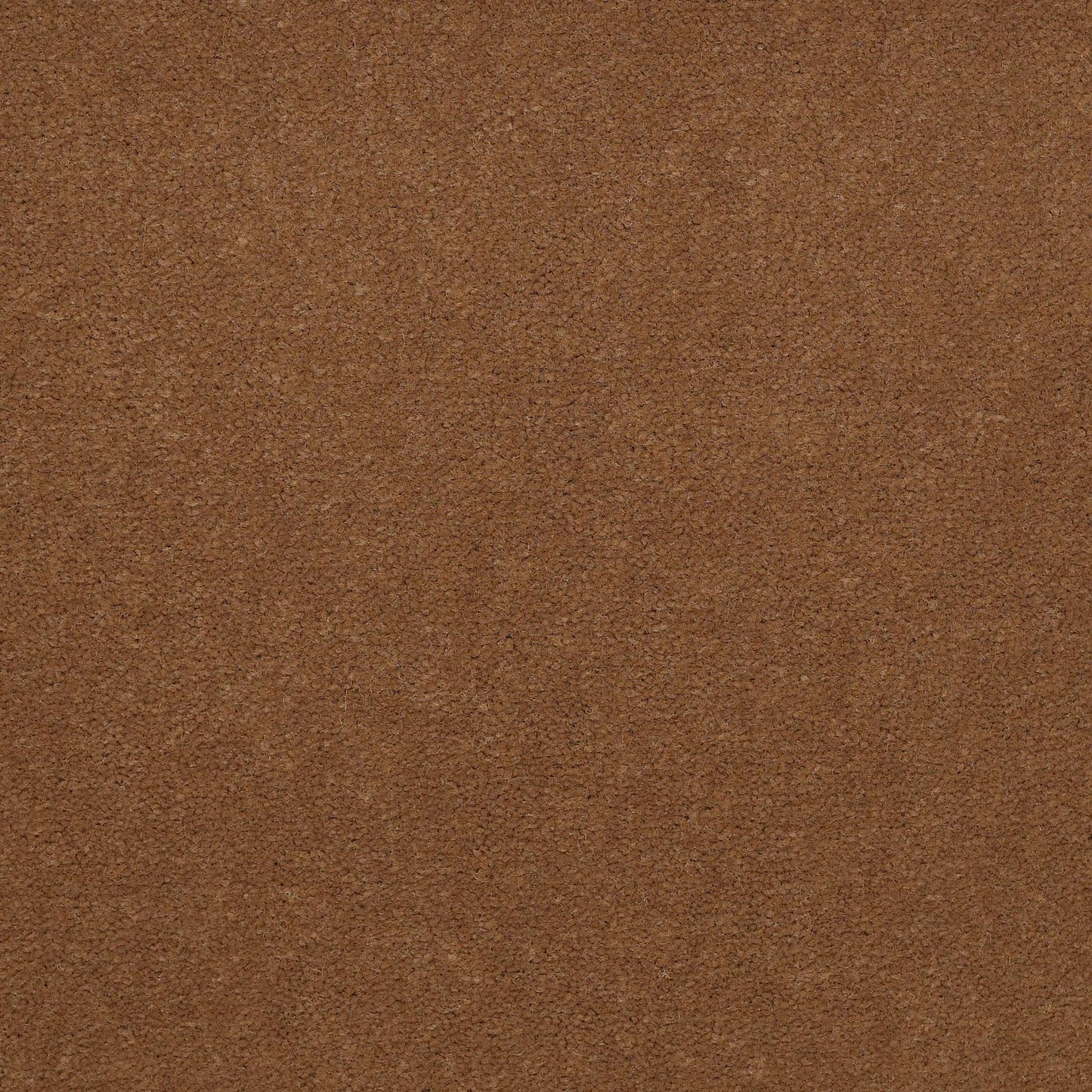 CUT PILE SOLID