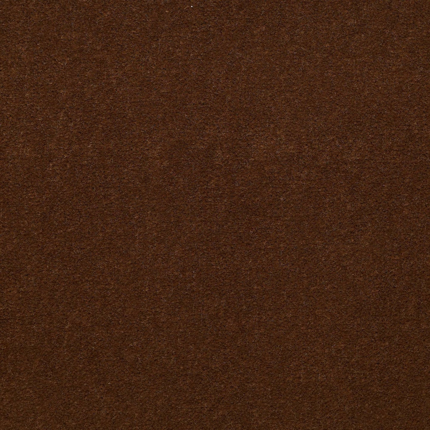 CUT PILE SOLID