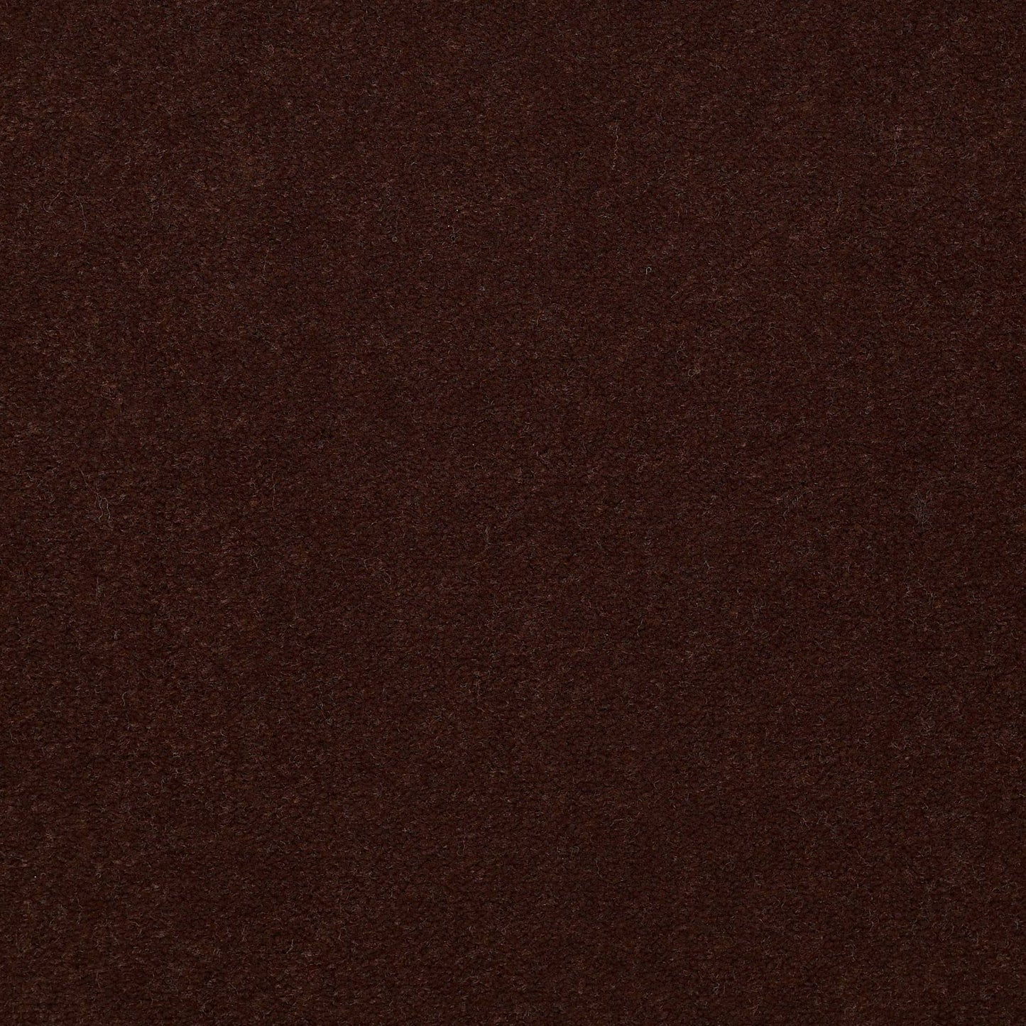 CUT PILE SOLID