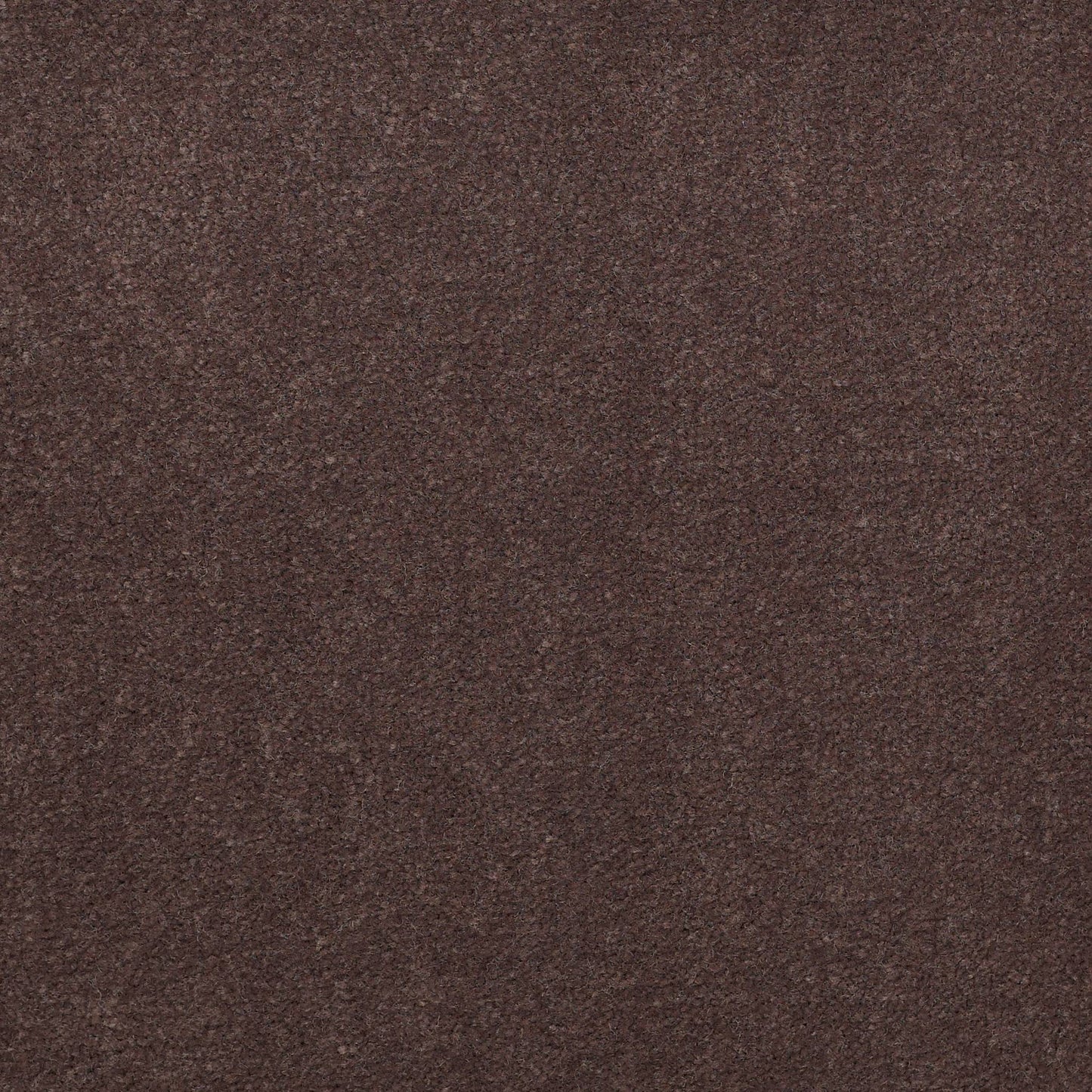CUT PILE SOLID