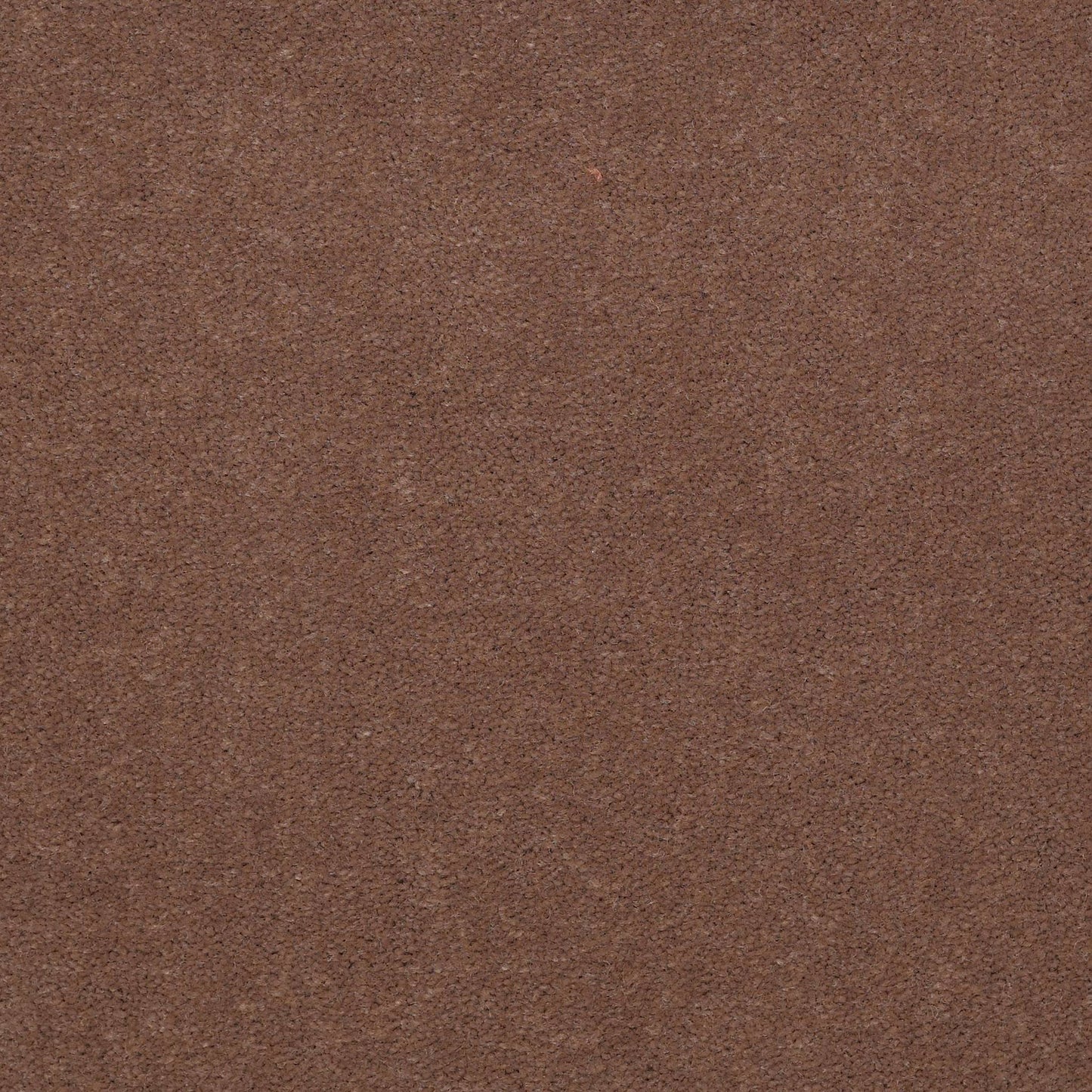 CUT PILE SOLID