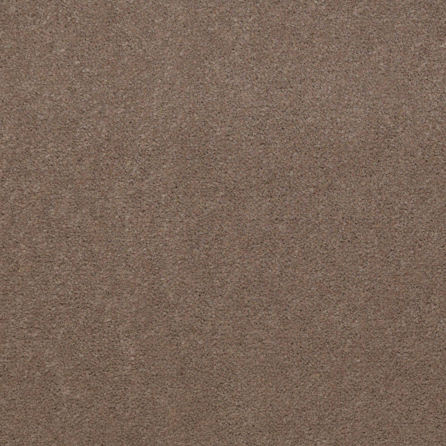 CUT PILE SOLID