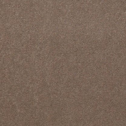 CUT PILE SOLID