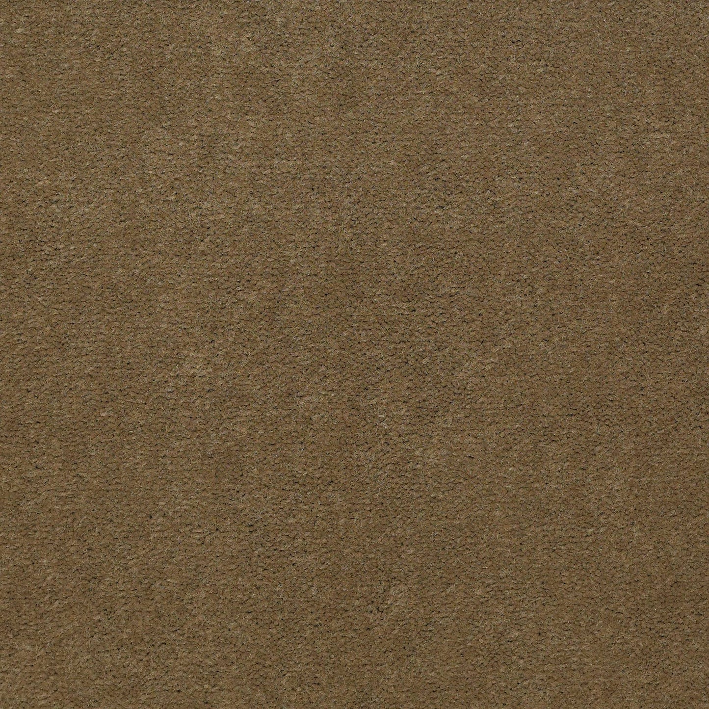 CUT PILE SOLID