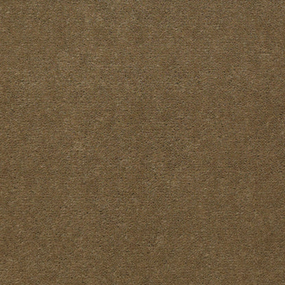 CUT PILE SOLID