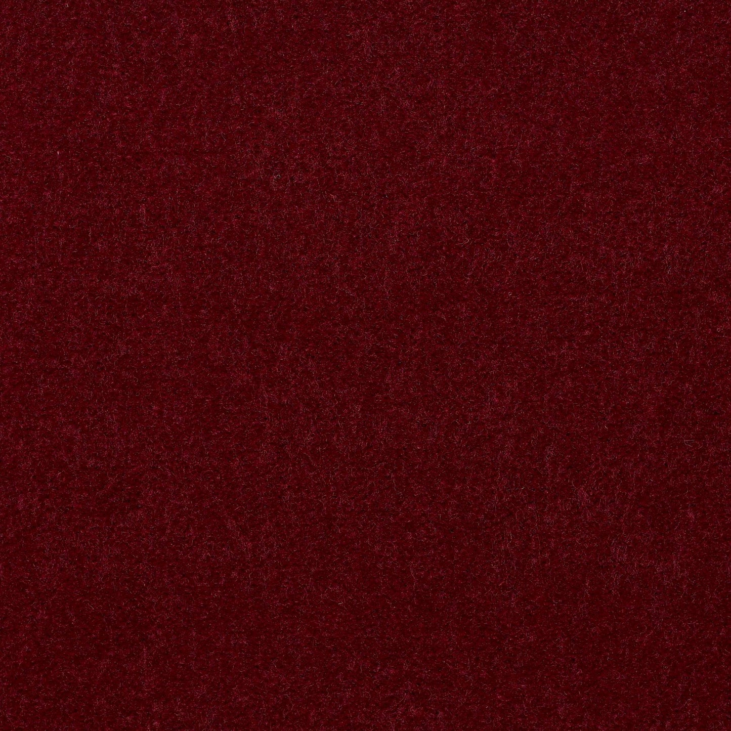 CUT PILE SOLID