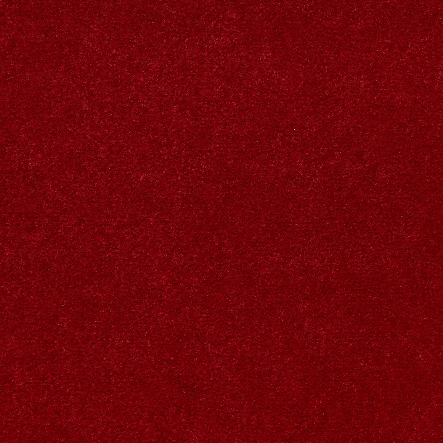 CUT PILE SOLID