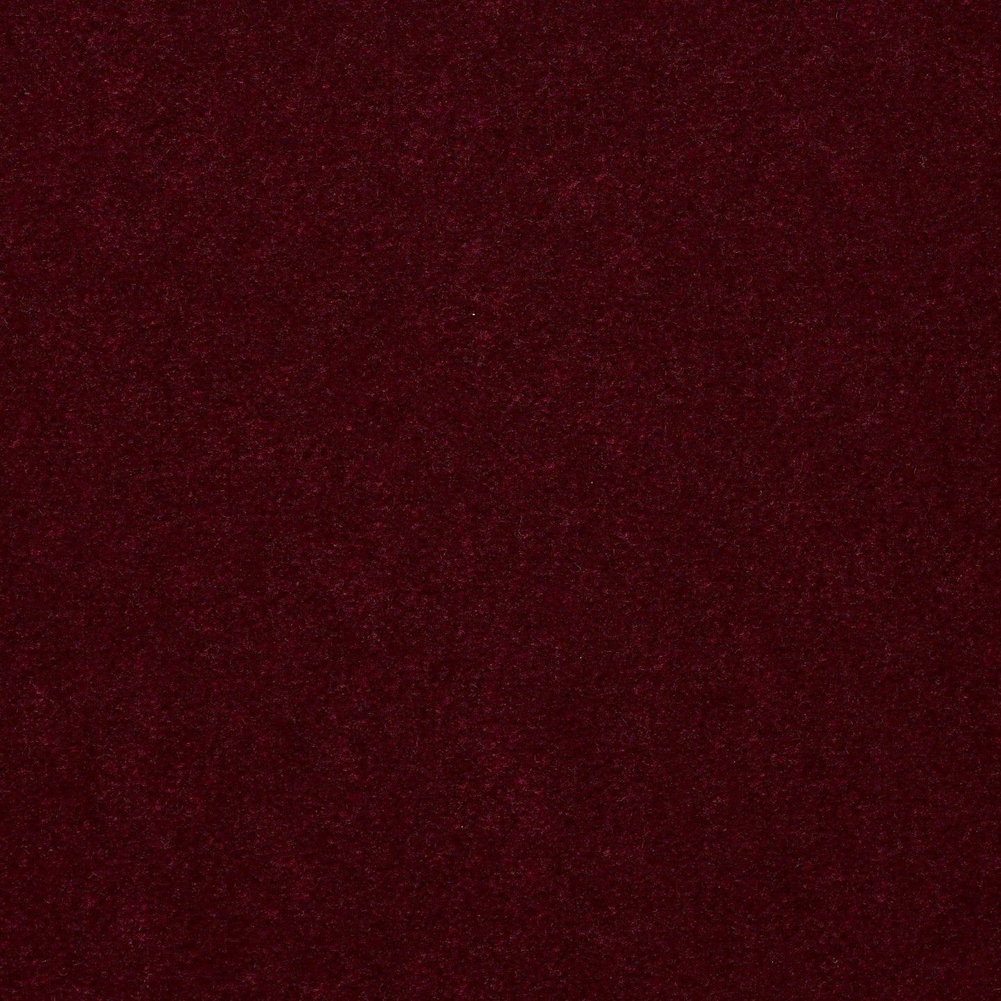 CUT PILE SOLID